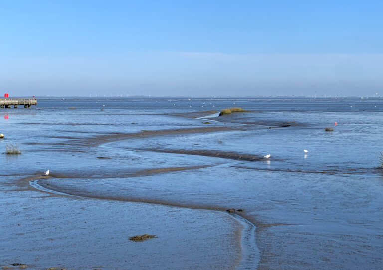 Das Wattenmeer – ein Schatz für Menschheit und Natur